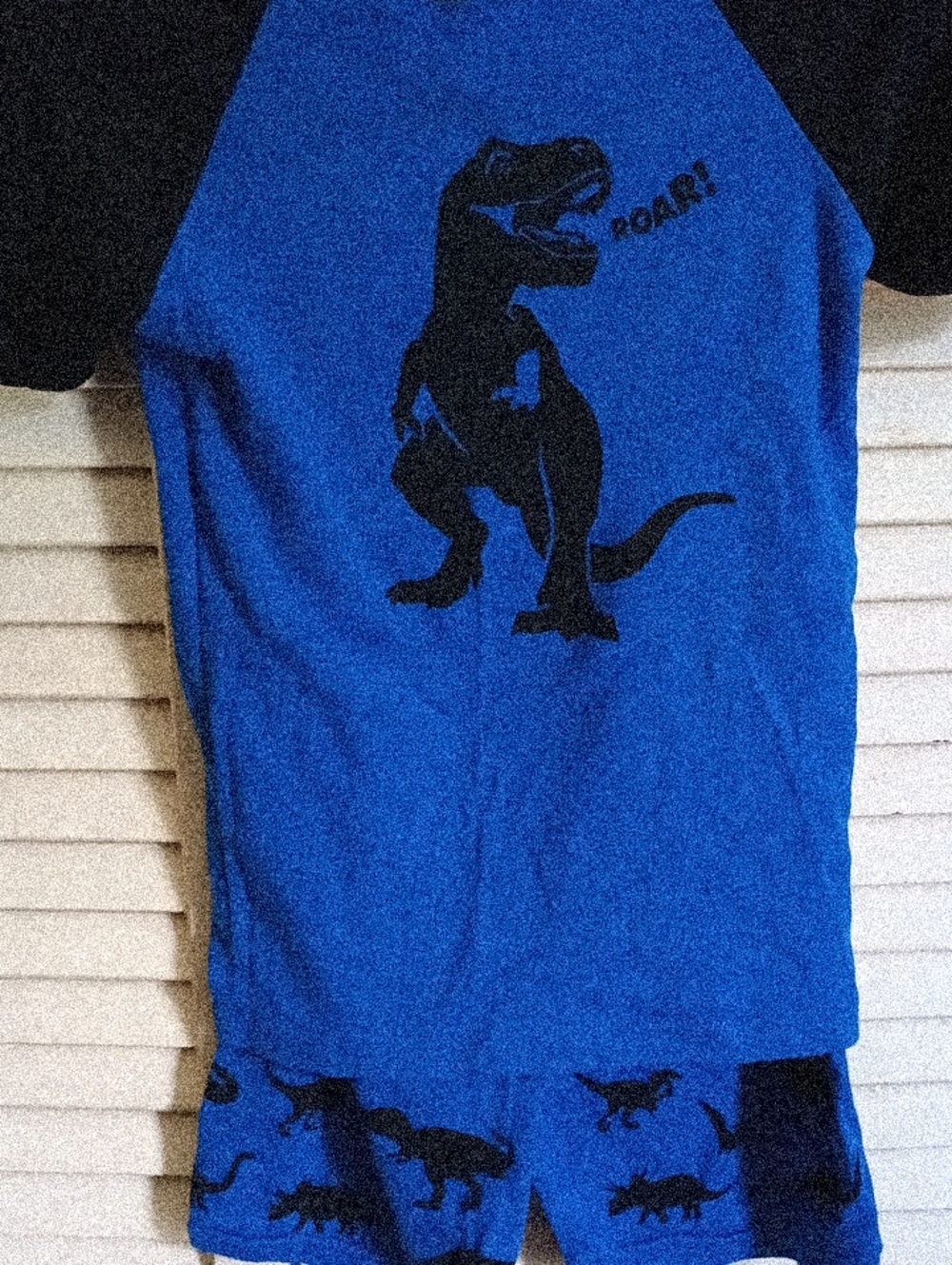Unbranded Blue Dinosaur Raglan Pajama Set with Black Dino Print